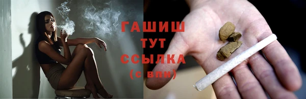 ешки Алексин