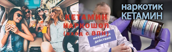 ешки Алексин