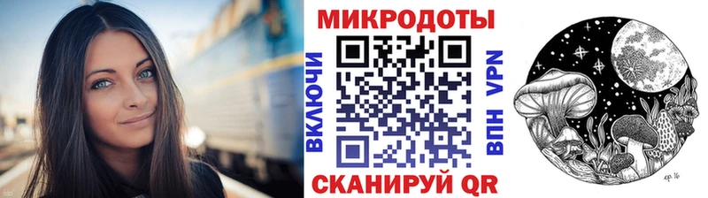 Псилоцибиновые грибы мицелий  Заполярный 